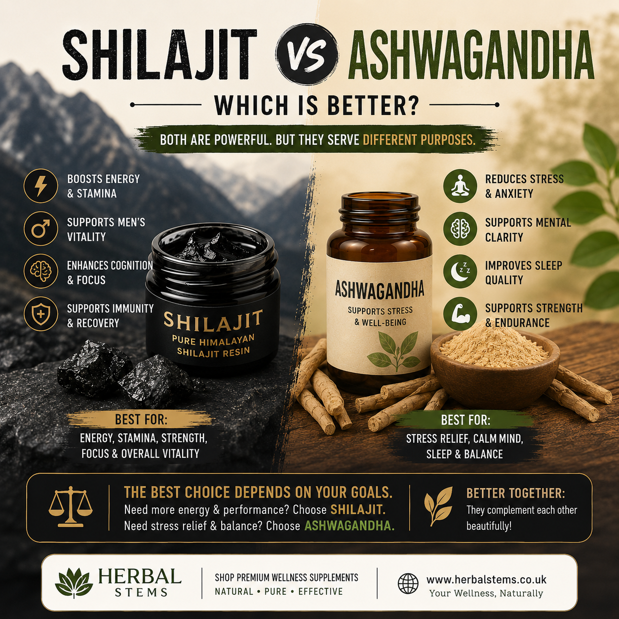 Shilajit vs Ashwagandha: Which Is Better for Energy and Vitality?