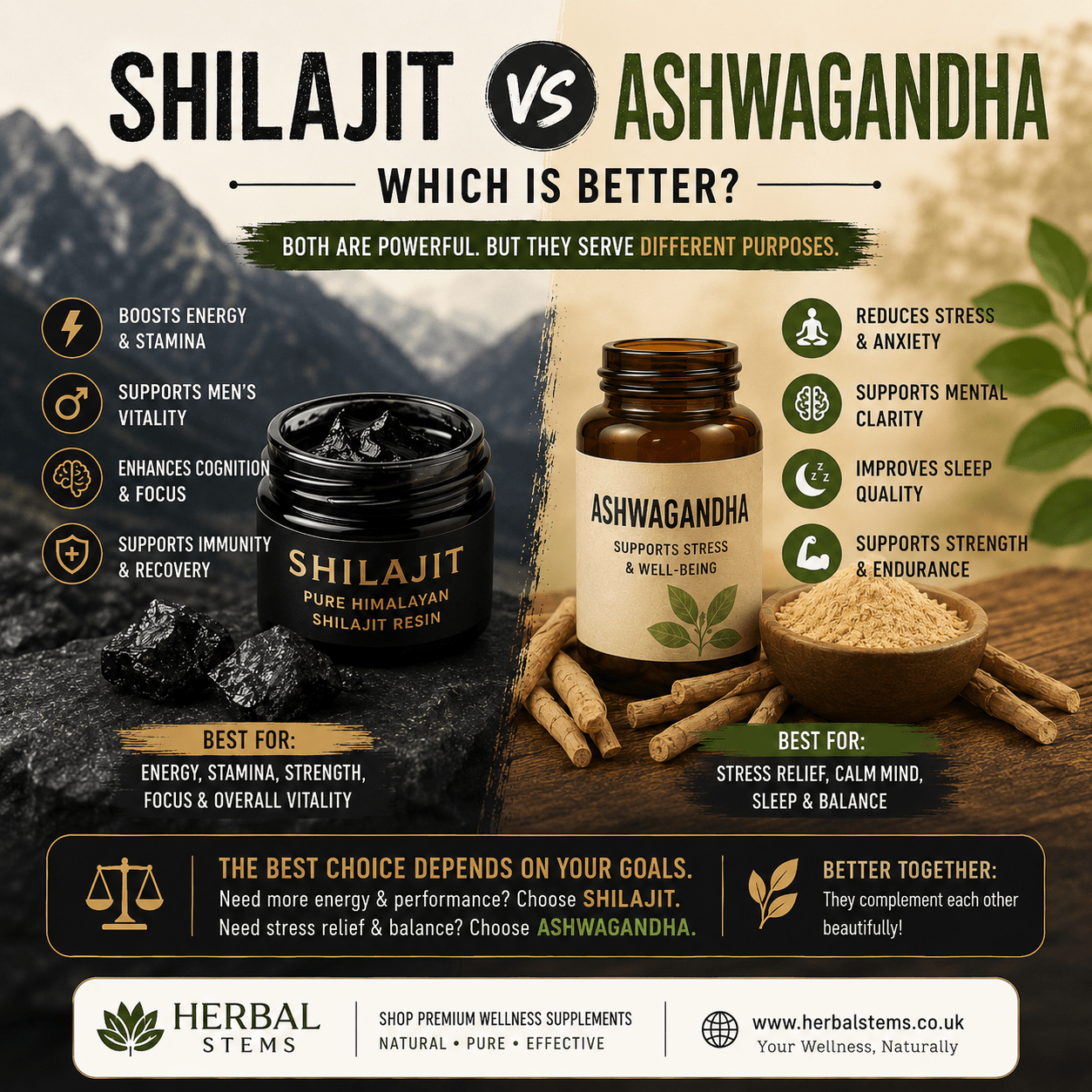 Shilajit vs Ashwagandha: Which Is Better for Energy and Vitality?