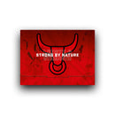 Strong by Nature for Men Natural & Organic