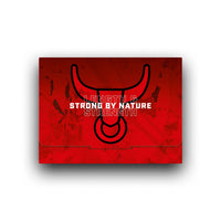 Strong by Nature for Men Natural & Organic
