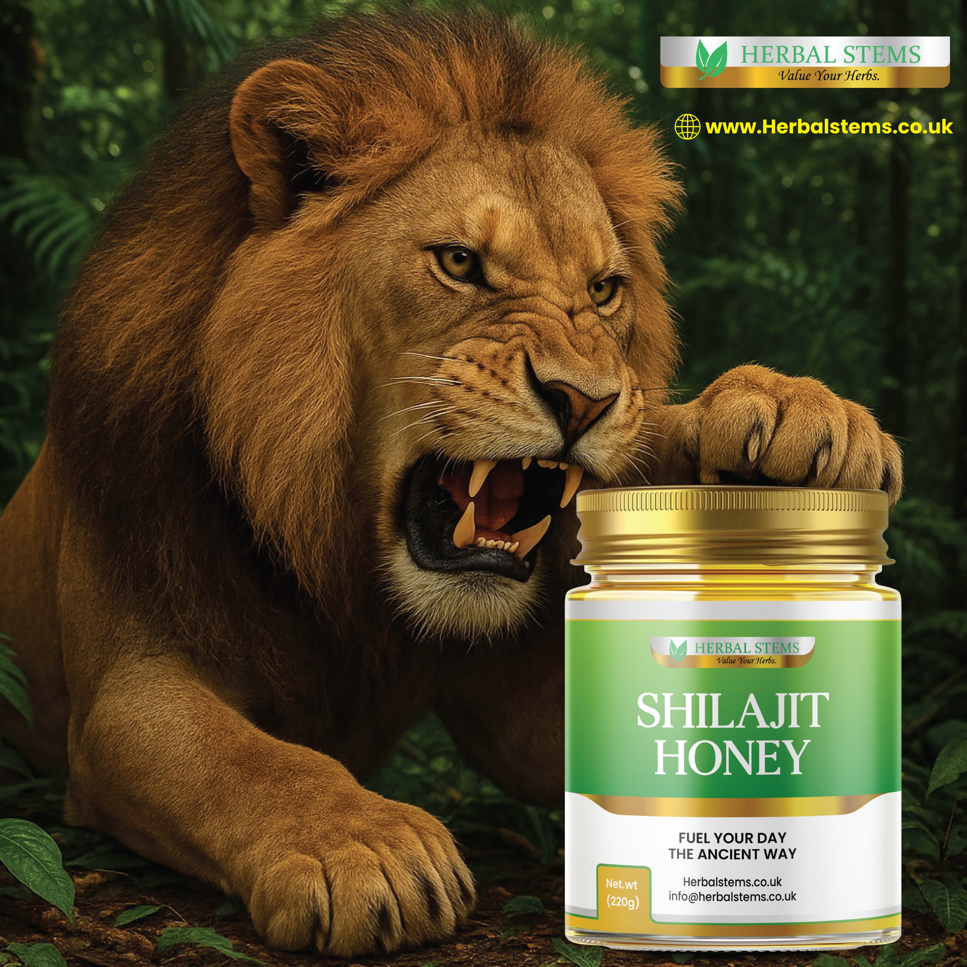 Shilajit Honey 220g (Limited Stock)