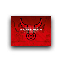 Strong by Nature for Men Natural & Organic
